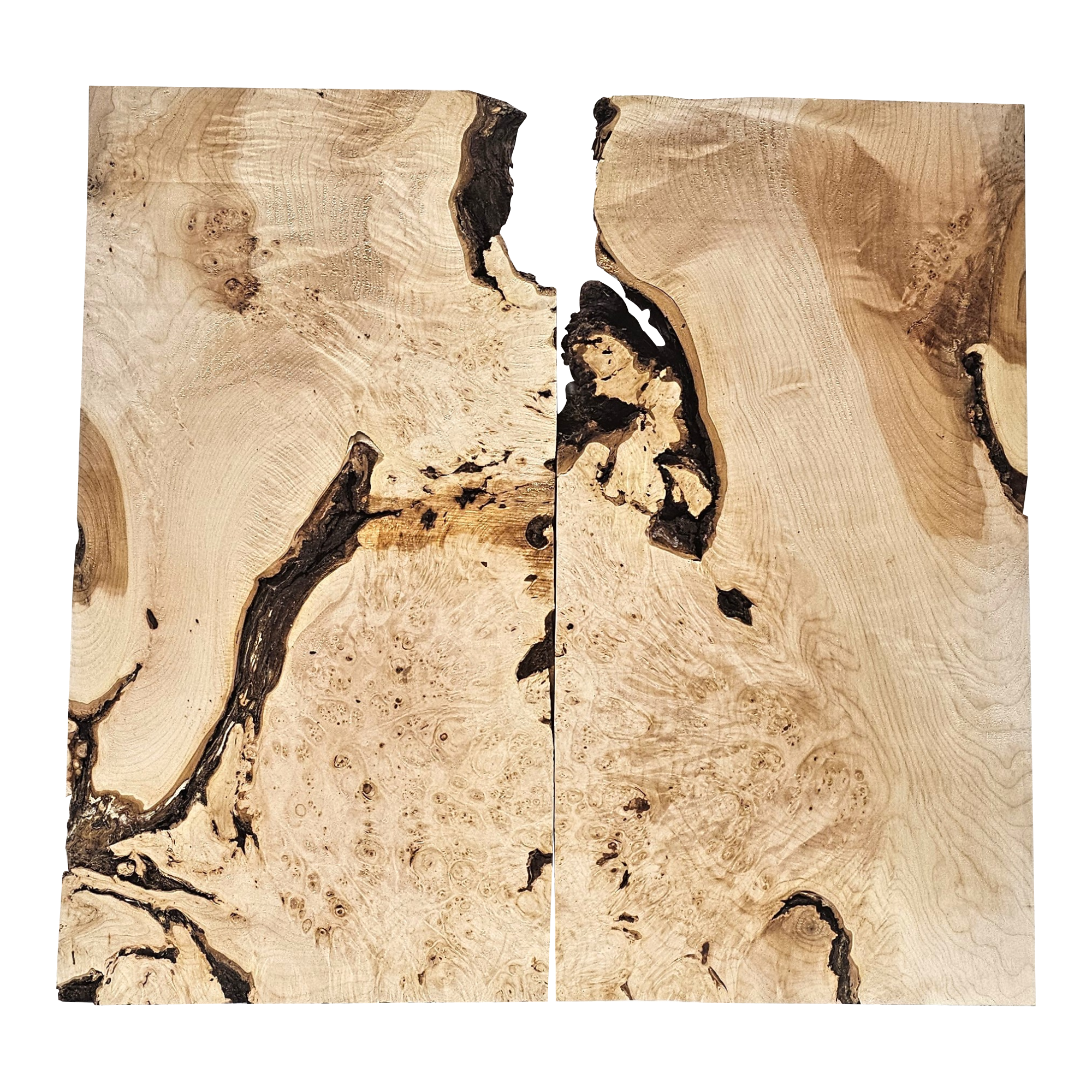 Amazingly unique 2-piece maple burl book-matched set with two-toned color, heavy burl and bark seams.