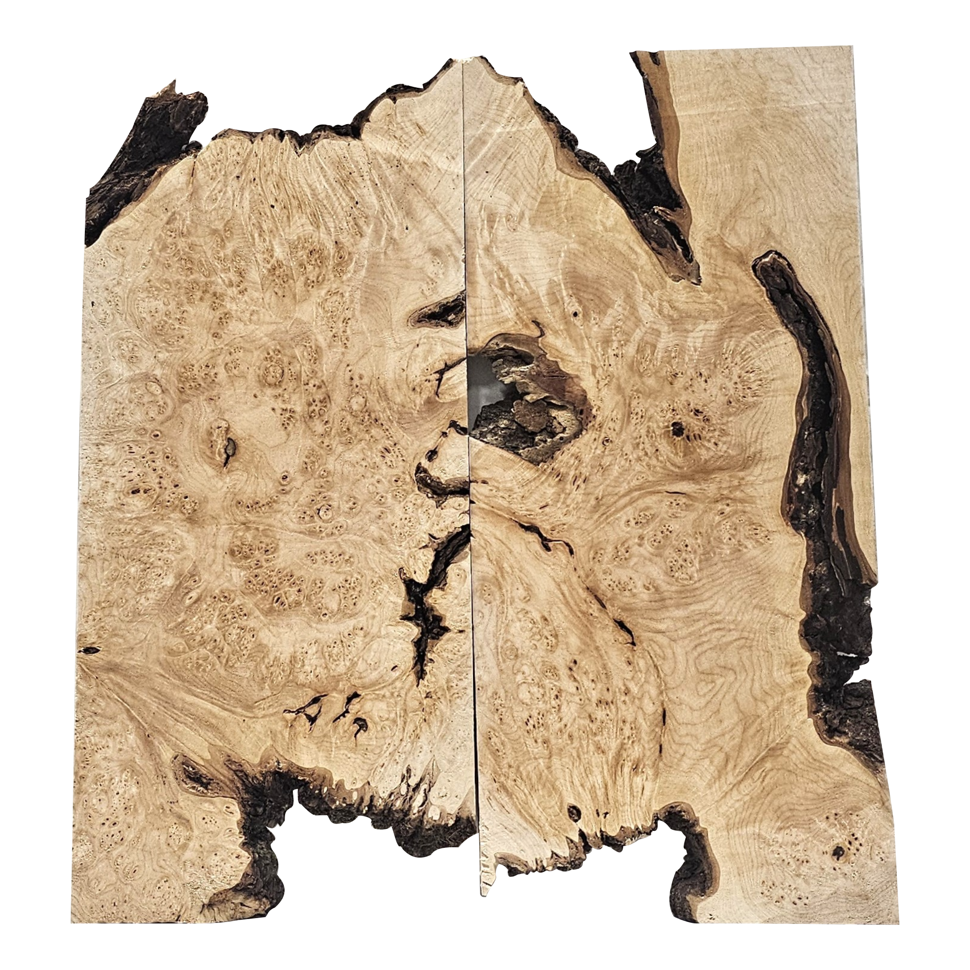 Interesting 2-piece maple burl set with heavy burl eyes, curl scattered throughout, bark seams and a partial live edge.