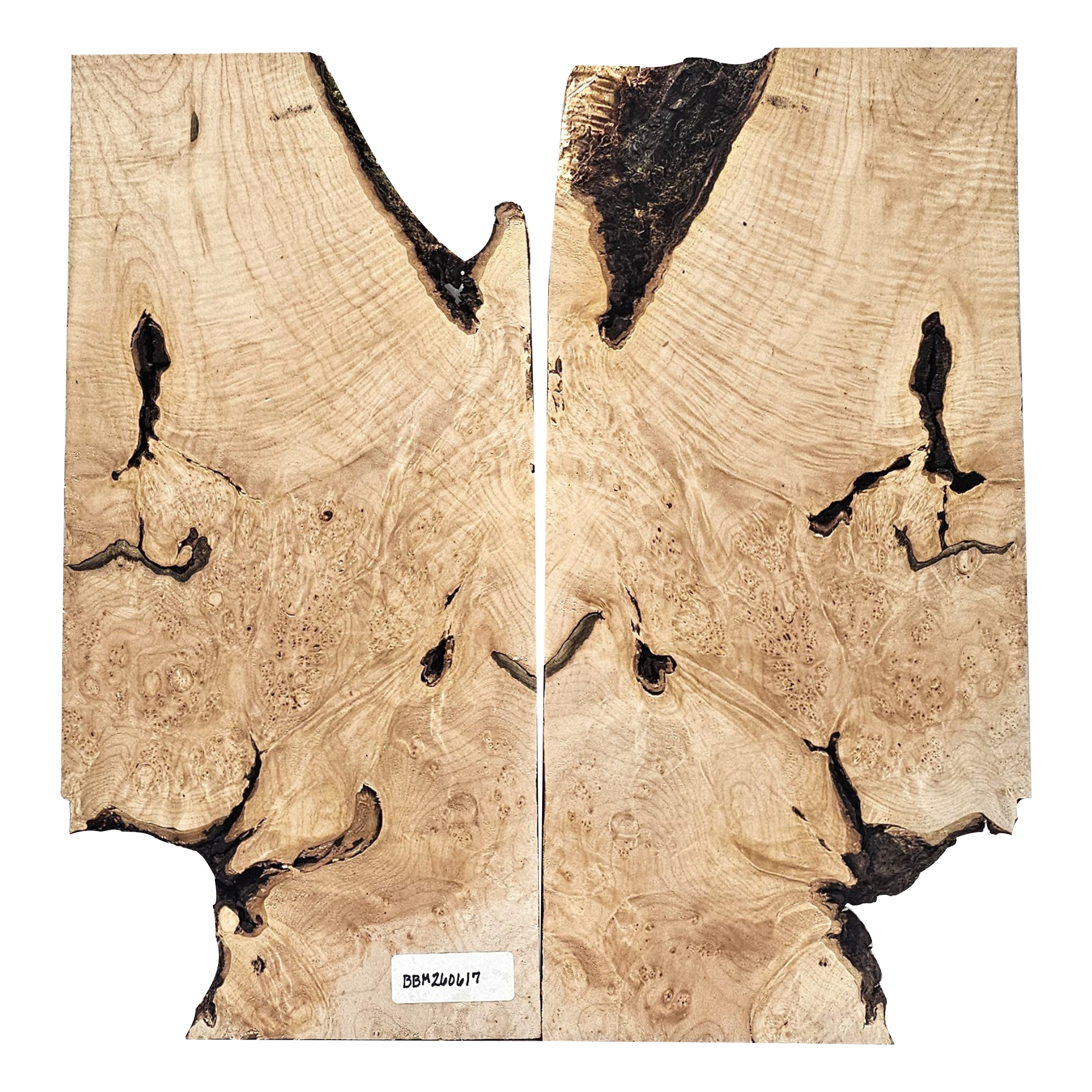 Unique 2-piece maple burl set with heavy curl in addition to burl eyes and scattered bark seams.