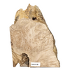 Fun little maple burl craft board with live edges, curl and heavy burl eyes.