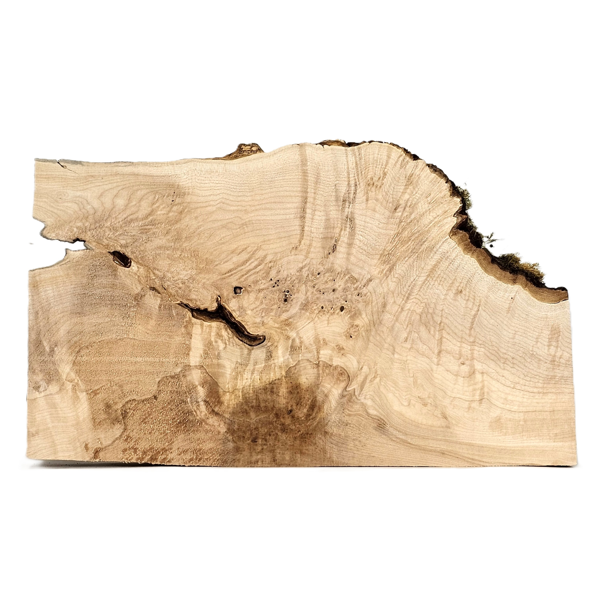 Maple Burl Craft Board (BCB231132)