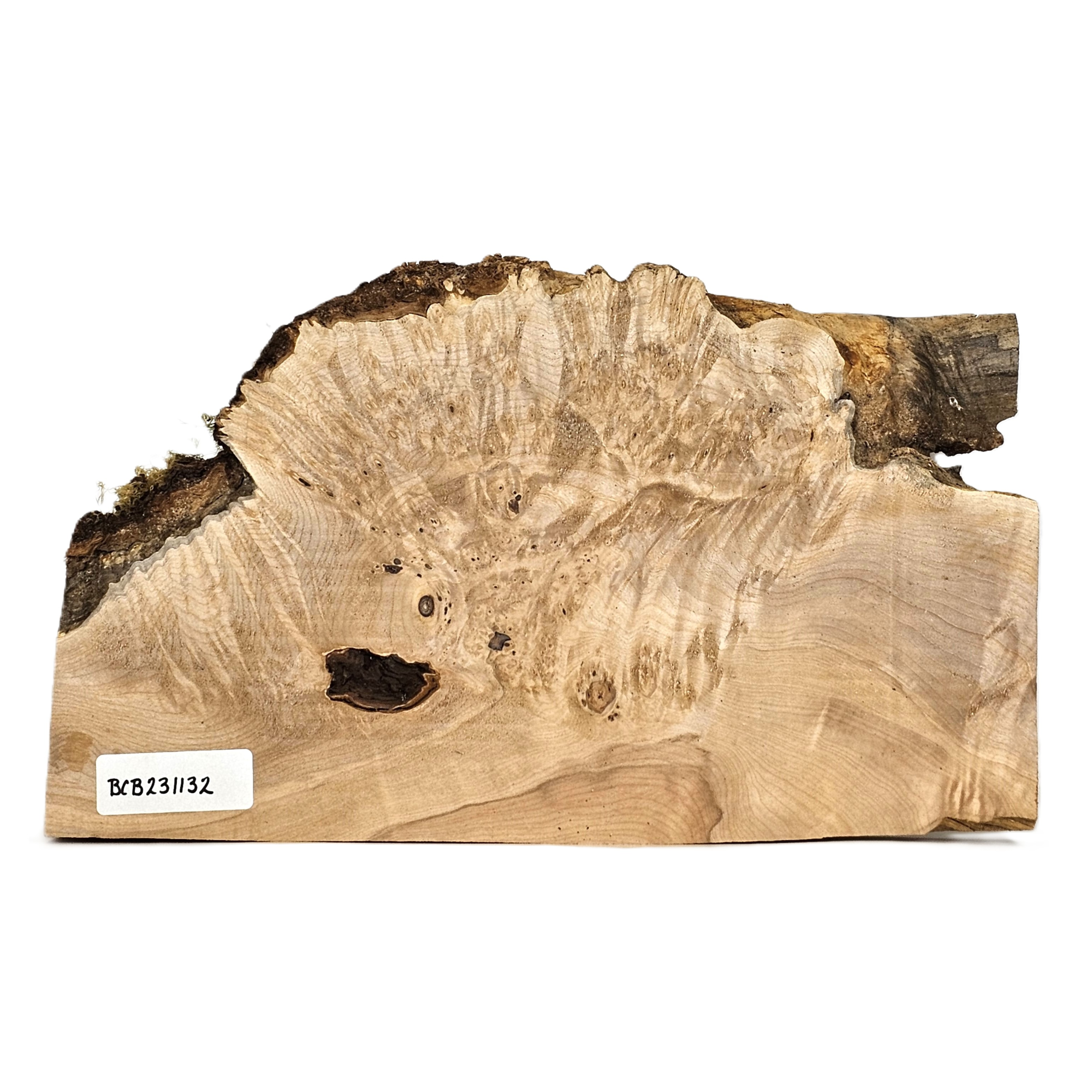 Maple Burl Craft Board (BCB231132)