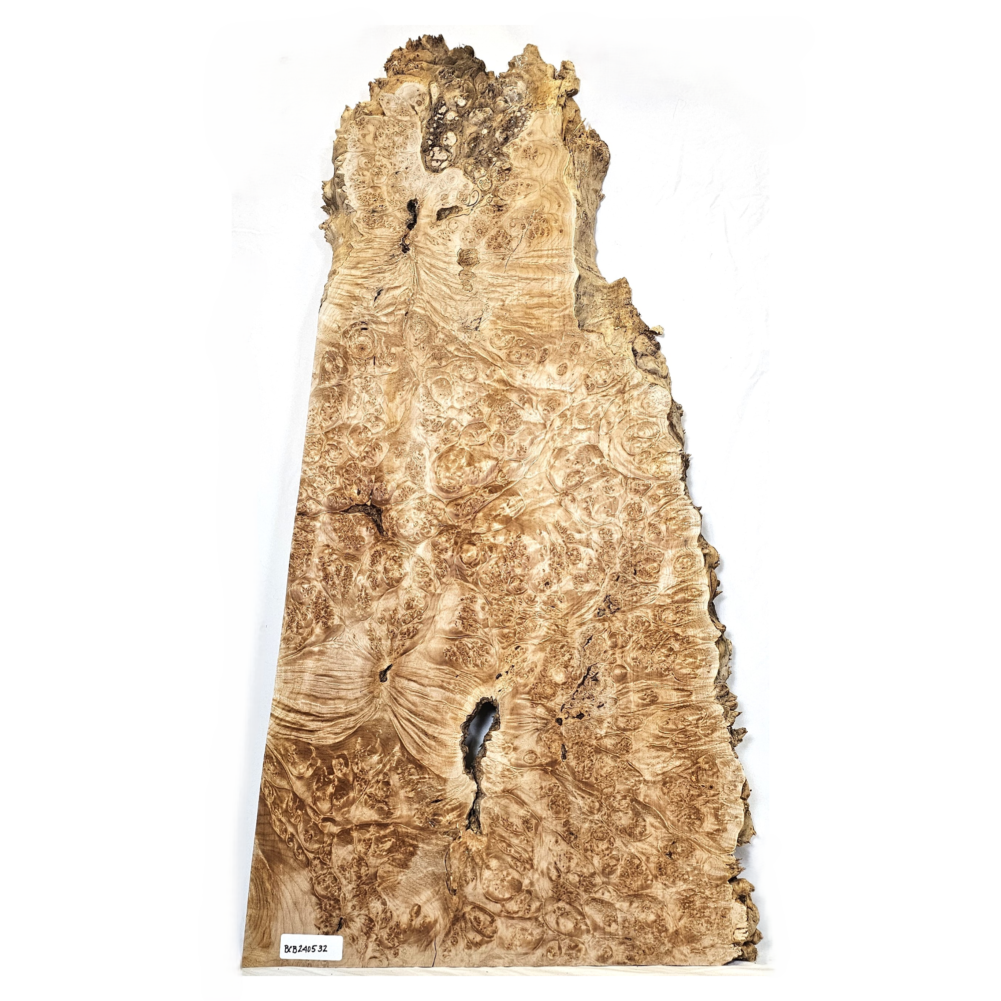 Stunning maple burl board/slab with hundreds of burl eyes, bark seams, wonderful color and spiky live edge.