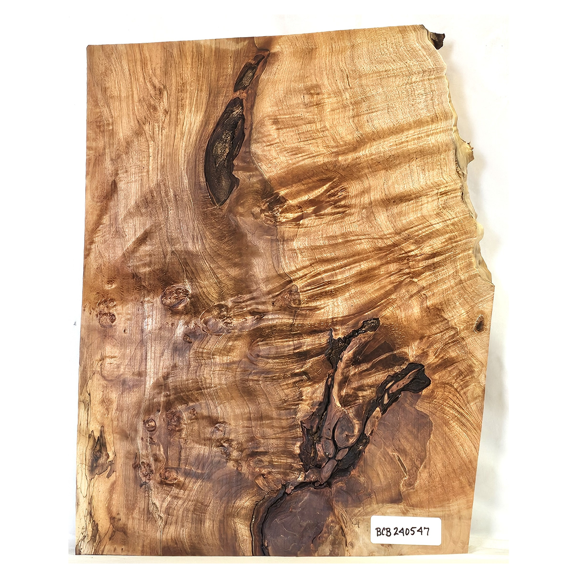 Beautiful curl in this maple burl craft board/billet, along with wonderful color variations and a small bark seam.