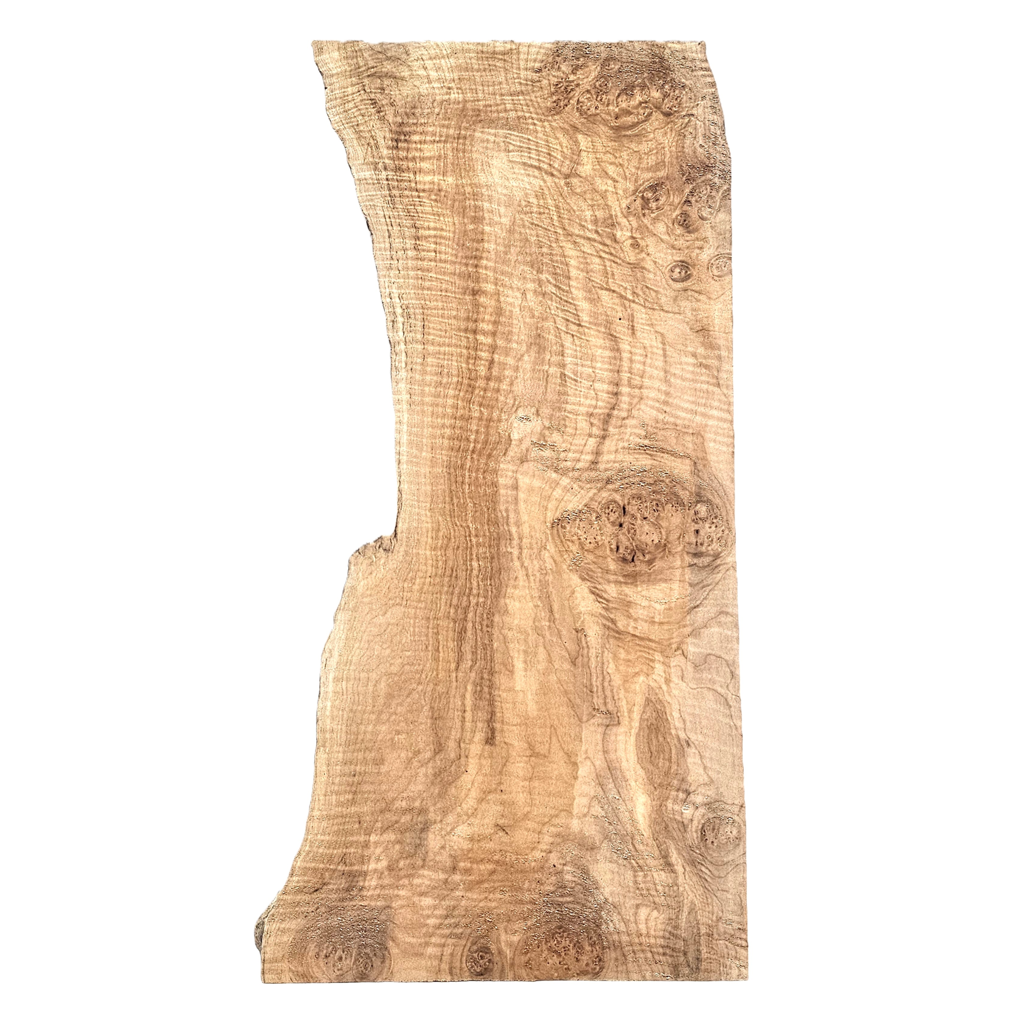 Beautiful maple burl/curl craft board with 5A grade curl interspersed with large burls, wonderful gold tones and live edge.