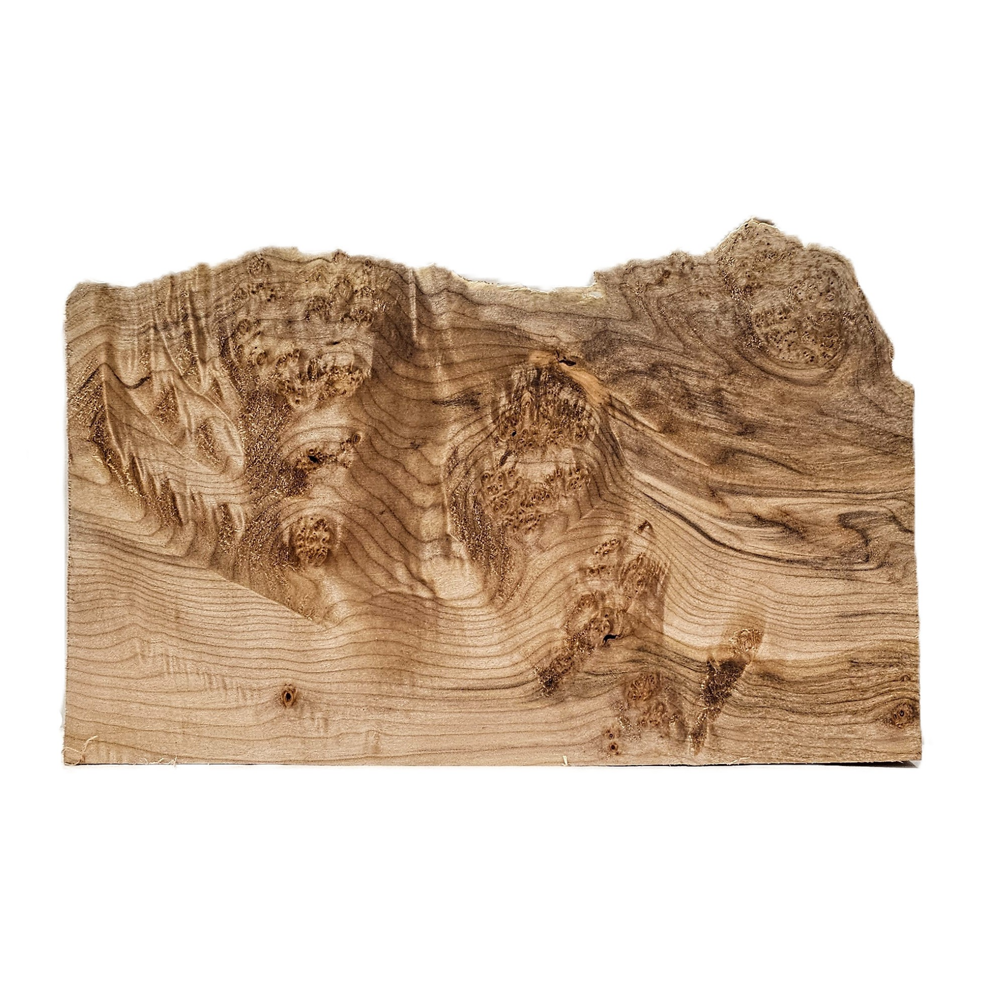 Interesting little maple burl board with nice color, void, curl and burl and live edge.