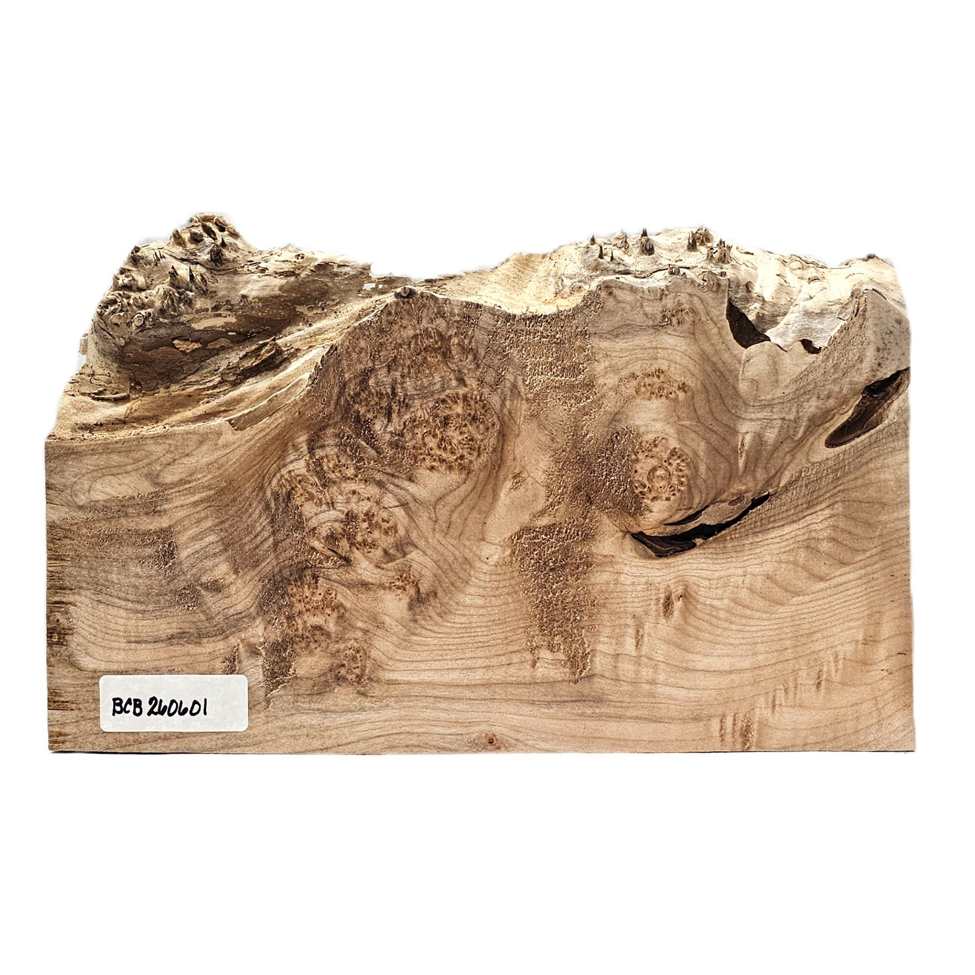 Interesting little maple burl board with nice color, void, curl and burl and live edge.