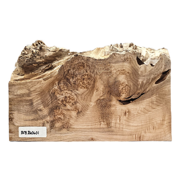 Interesting little maple burl board with nice color, void, curl and burl and live edge.