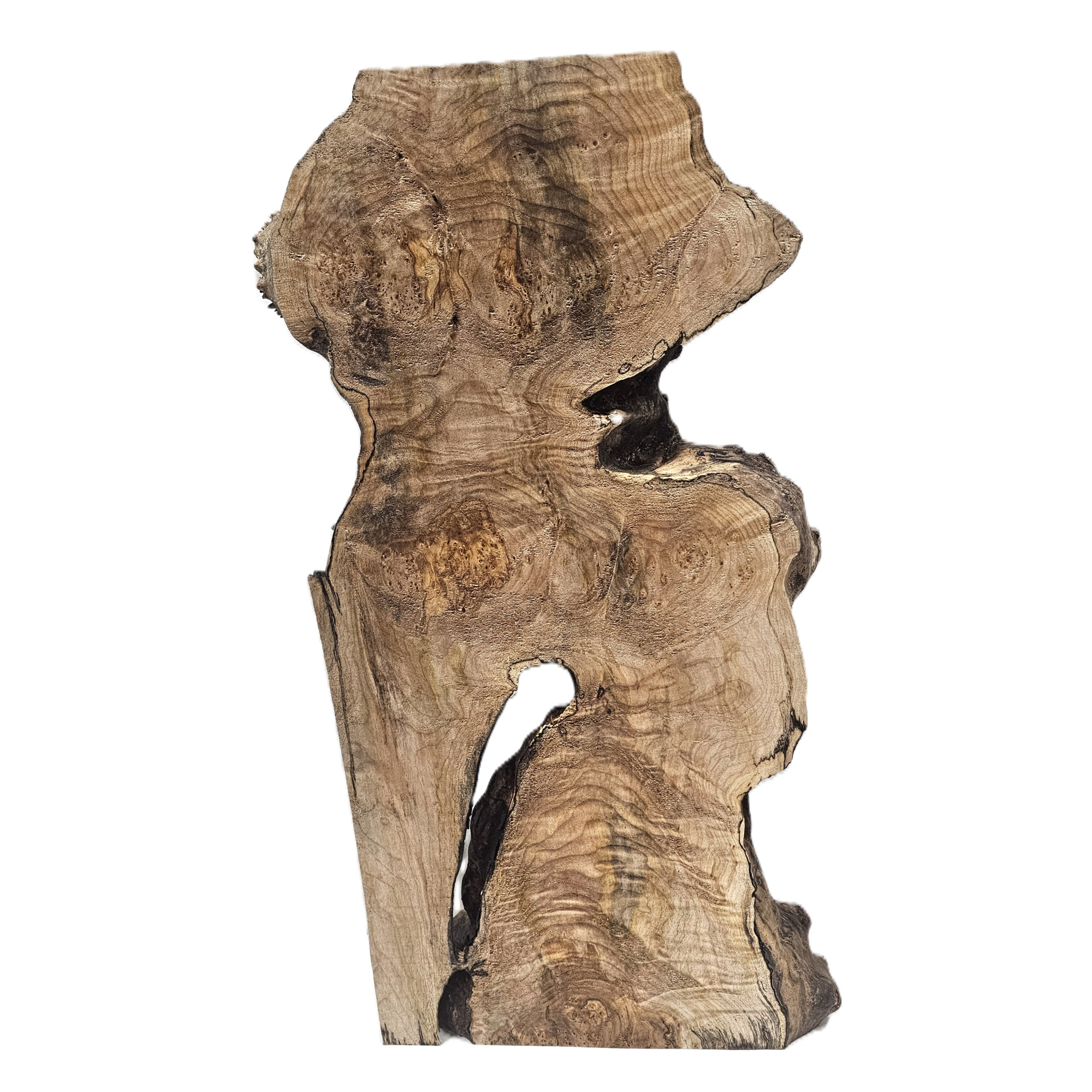 Interesting shaped maple burl piece with voids, lots of burl eyes and spikes and great shape.