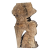 Interesting shaped maple burl piece with voids, lots of burl eyes and spikes and great shape.