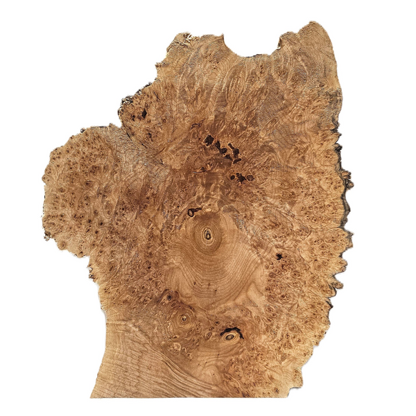 Beautiful maple burl cookie with heavy burl eyes and near all-around spiky live edge