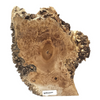 Beautiful maple burl cookie with heavy burl eyes and near all-around spiky live edge