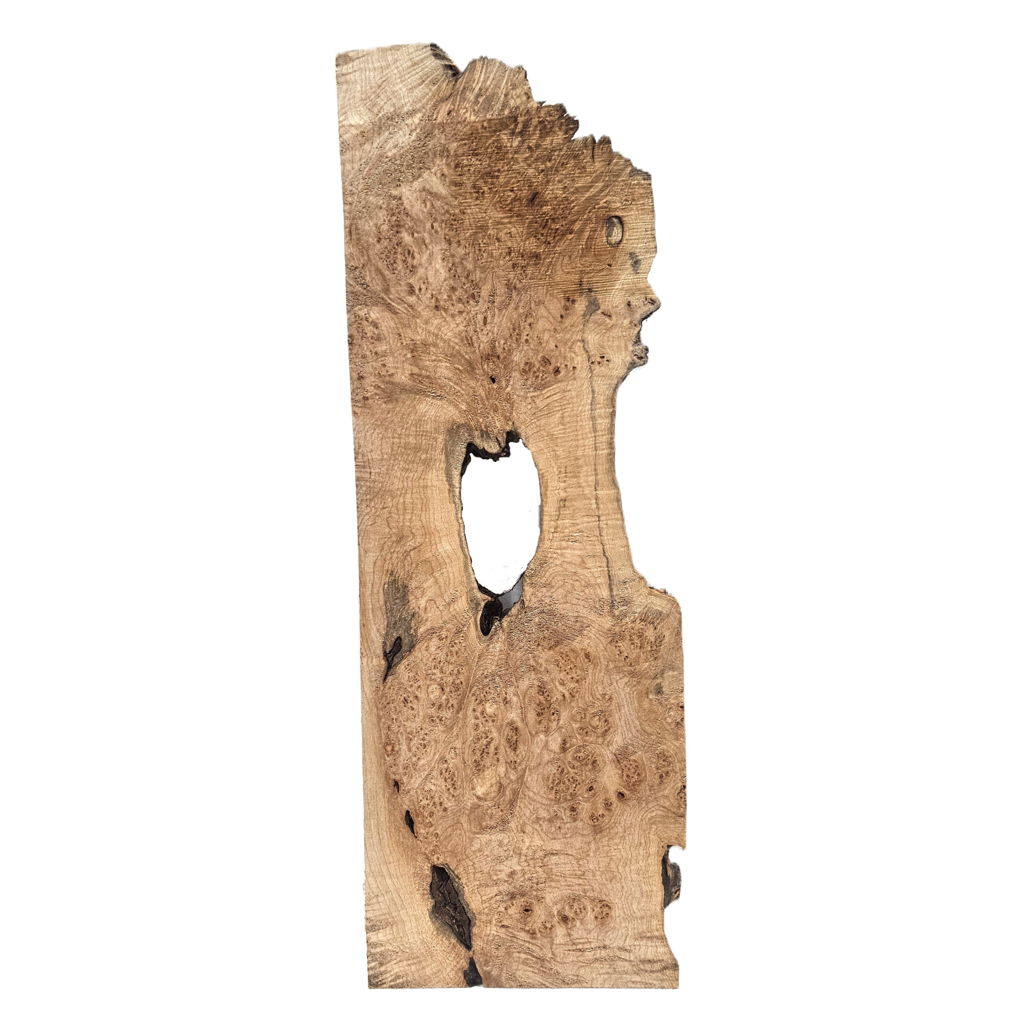 Interestingly shaped maple burl board with heavy burl eyes and spikes, center void and live edge