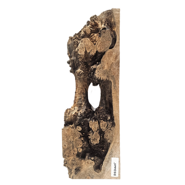 Interestingly shaped maple burl board with heavy burl eyes and spikes, center void and live edge