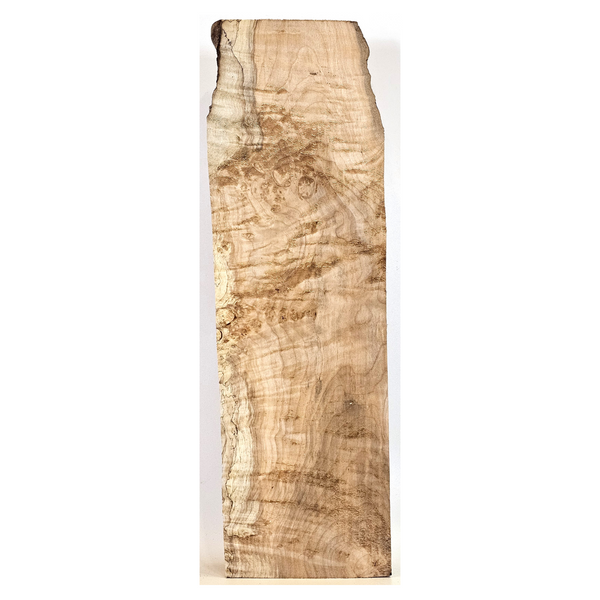 Maple burl full billet with interesting bark seams, beautiful color, and light quilting/curl throughout with partial live edges.