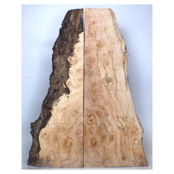 Two-piece maple burl book-matched set with large burl eyes, curl, light spalting, beautiful color and live edges.