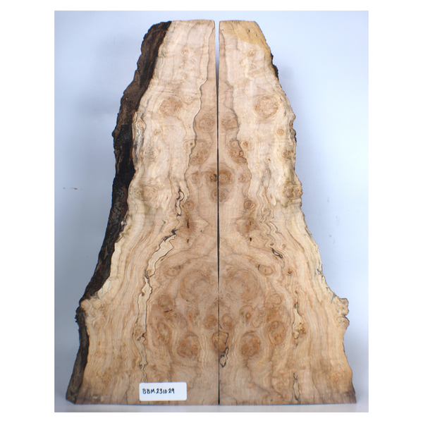 Two-piece maple burl book-matched set with large burl eyes, curl, light spalting, beautiful color and live edges.