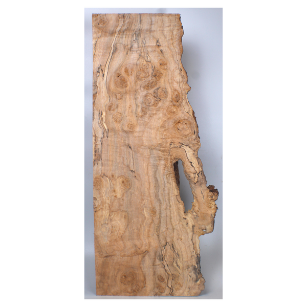 Unique maple burl craft board with large burl eyes, beautiful color variation, spalting, and live edge.