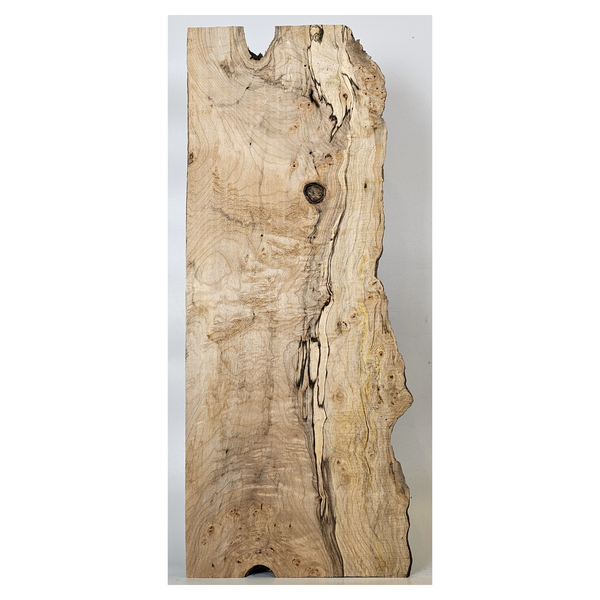 Maple burl craft board with two-tone color, spalting, curl and live edge.