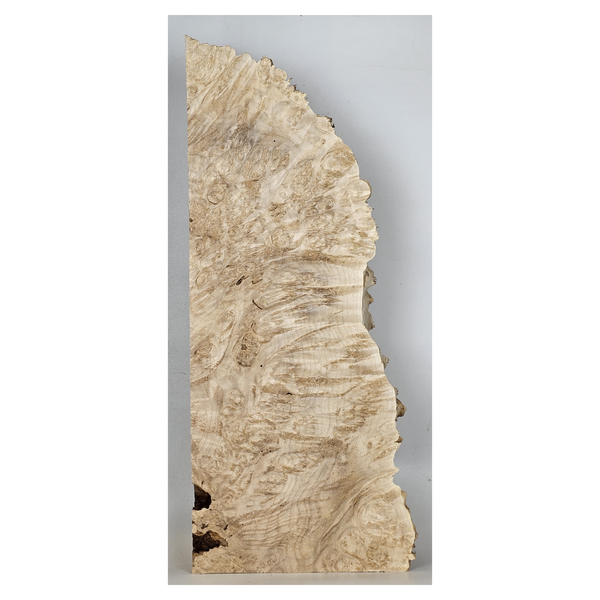 Striking maple burl craft board with heavy eye spots, nice light color, and heavily spiky live edge.