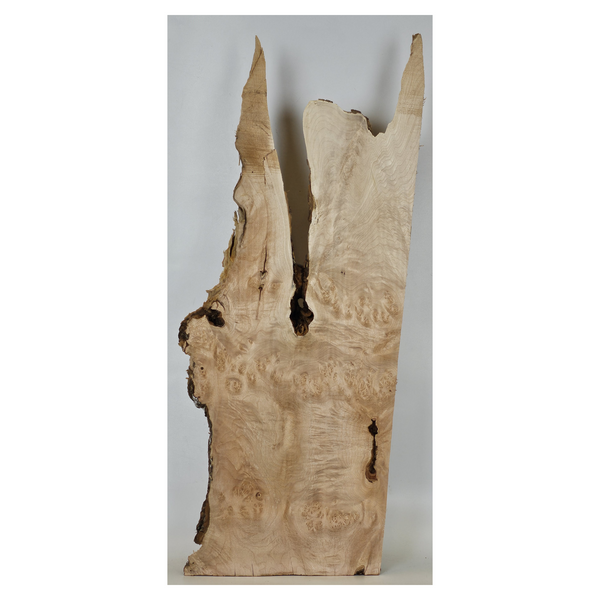Gorgeous maple burl craft board with scattered burl eyes, interesting center void, wonderful shape and live edge.