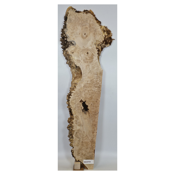 Beautiful maple burl craft board/mini slab with heavy burl eyes throughout, interesting shape and very spiky live edge.