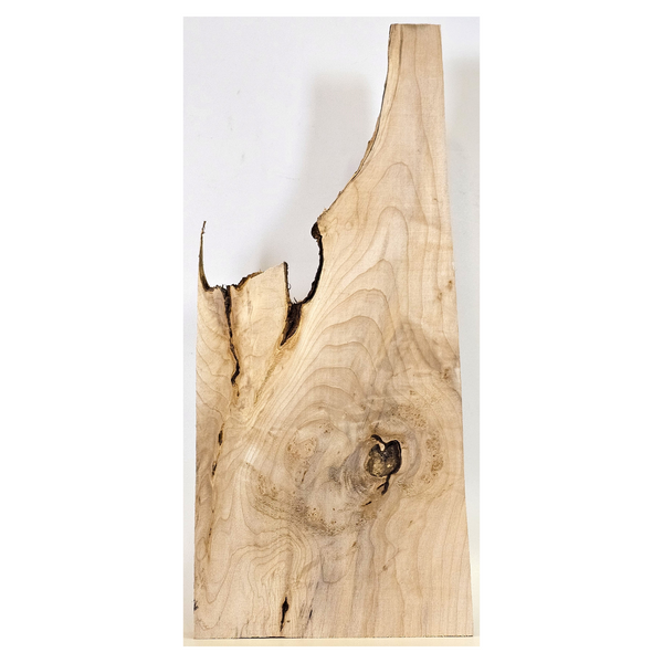 Maple burl craft board with large center burl, bark seam, light curl, fun shape and live edge.