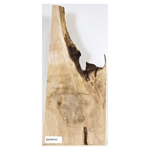 Maple burl craft board with large center burl, bark seam, light curl, fun shape and live edge.