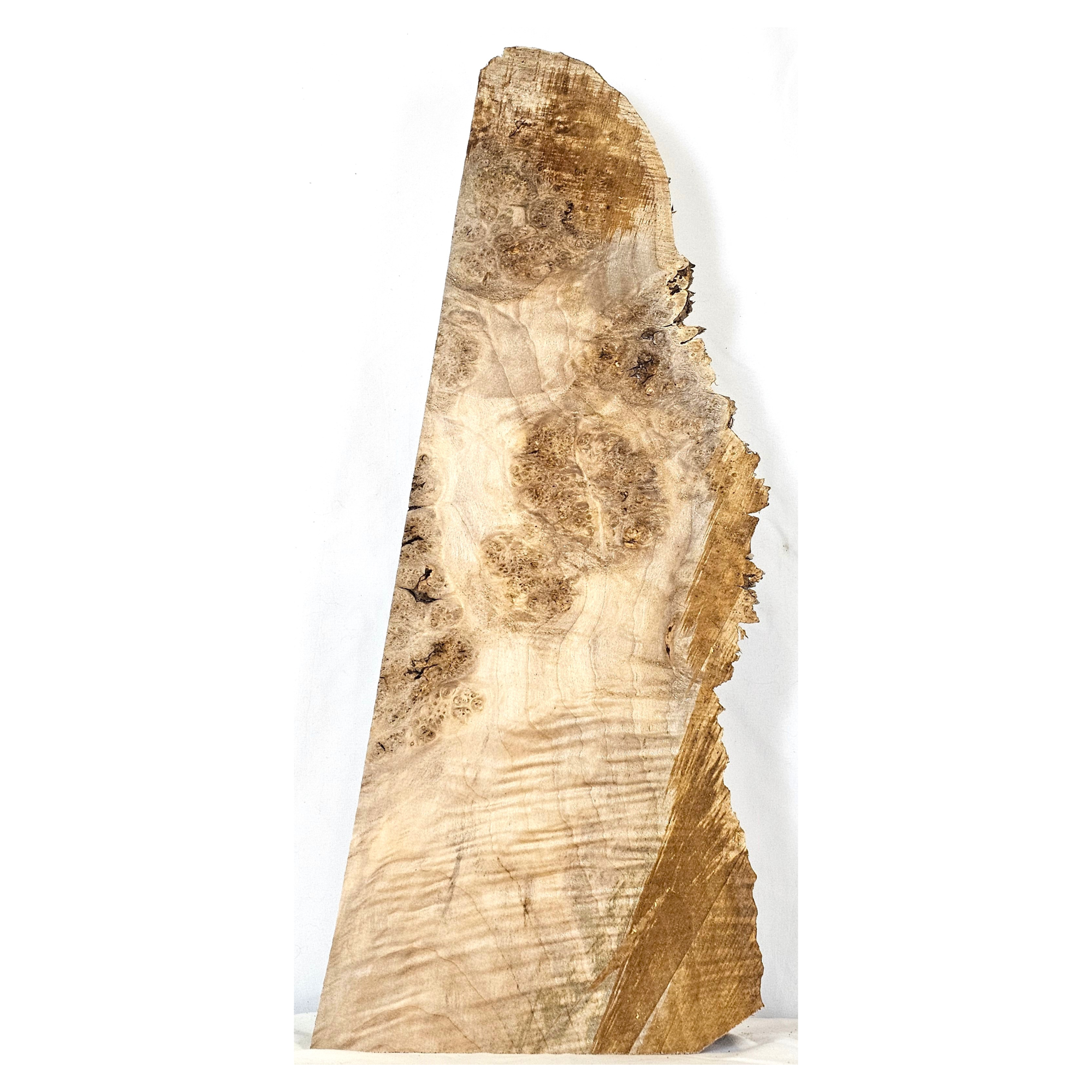 Interesting maple burl craft board with heavy curl, nice color and spiky live edges.