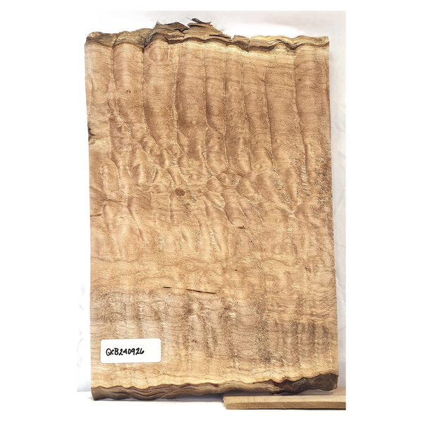 Beautiful quilted maple craft board with 5A grade sausage rolls, blue streak coloration, and two live edges.