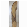 High curl mango slab with beautiful color and live edge. Dimensions thickness 1.5" width 11" length 55"