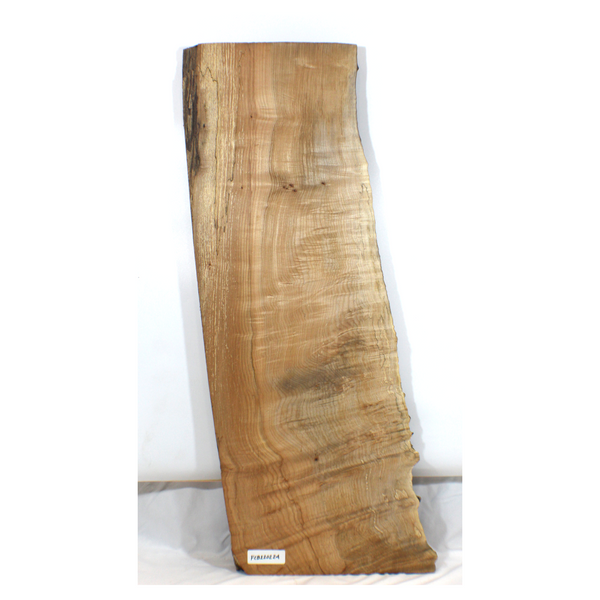 High curl flame maple craft board with light spalting, burl, two-tone color, and live edge. Dimensions: Thickness: 1", Max width: 14", Length: 37".