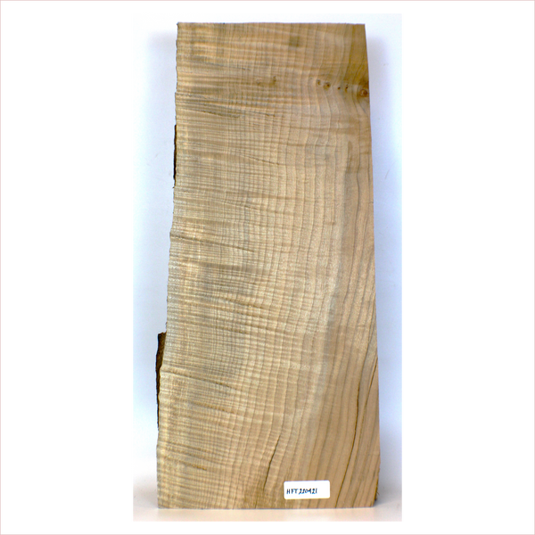 Dimensions: Thickness: 3.5", Width: 12.75", Length: 28.5"  Beautiful 5A grade curl in this thick full billet.  Piece has two-tone color, a small knot, and interesting color streaking.