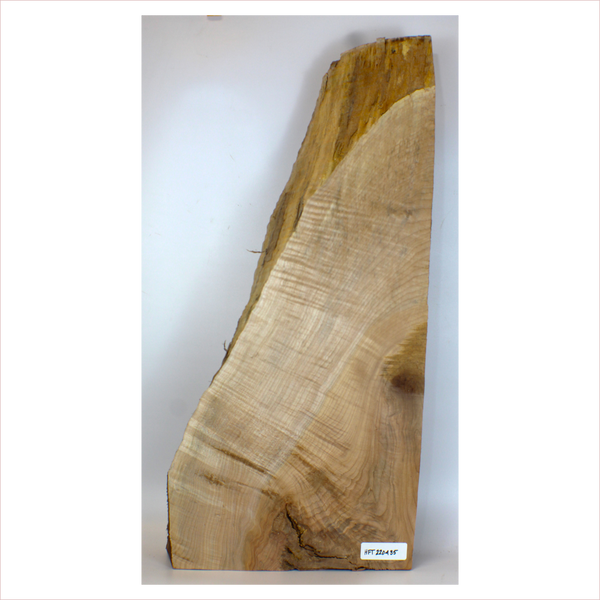 Dimensions: Thickness: 3.125", Max Width: 13.75, Length: 30.25".  This large billet has 5A off-quarter curl, two-tone coloring, feathering and live edge.