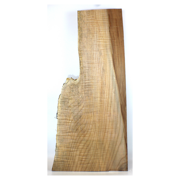 Dimensions: Thickness 0.75", Max width 11.25", Max length 25.5".  Beautiful flame maple craft board with interesting shape, two-tone heart color, blue stain,  and 5A grade curl.