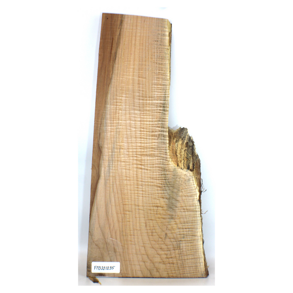 Dimensions: Thickness 0.75", Max width 11.25", Max length 25.5".  Beautiful flame maple craft board with interesting shape, two-tone heart color, blue stain,  and 5A grade curl.