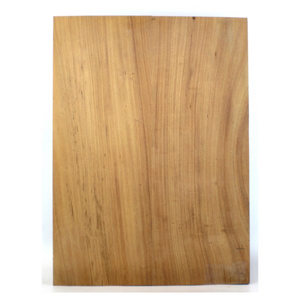 Dimensions: Thickness 1.25", Width 13.75", Length 19".  Music Second  Plain koa slip-matched glue-up with neutral color and line grain lines.  There is some light spot rot present.