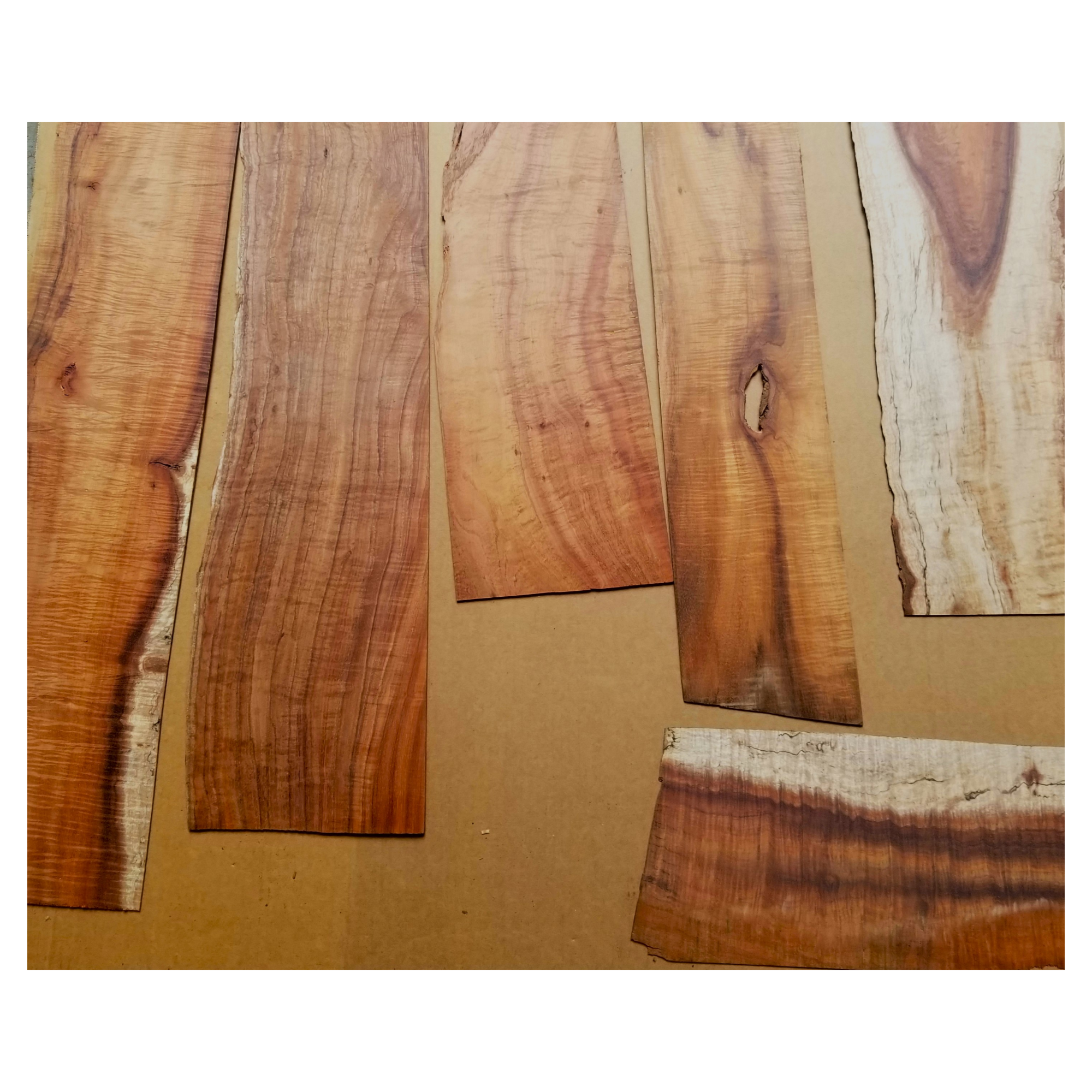 Random selection of curly and plain koa boards with multiple colors and shapes.