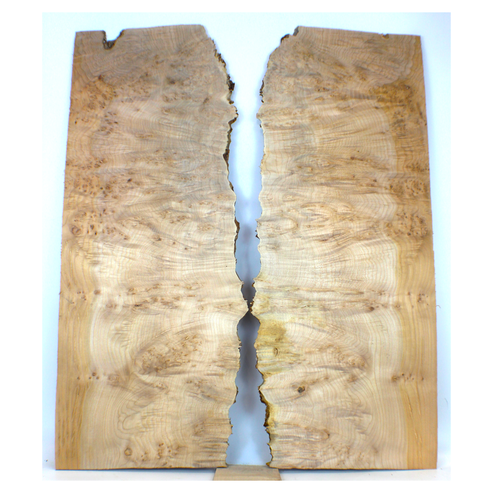 Music grade maple burl 2-piece set with heavy burl eyes, deep rays, and live edge.  This set has been sanded to 400 grit.  Dimensions: Thickness (each piece): .25