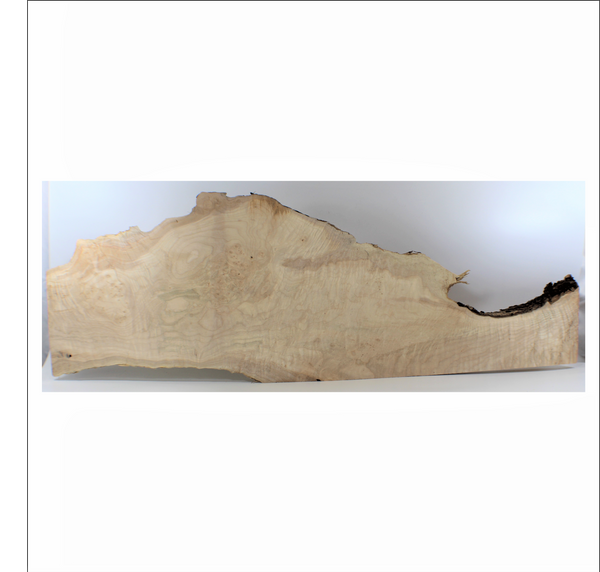 Beautiful maple burl project board with live edges. Dims: thickness 1.5 width 13" length 36".