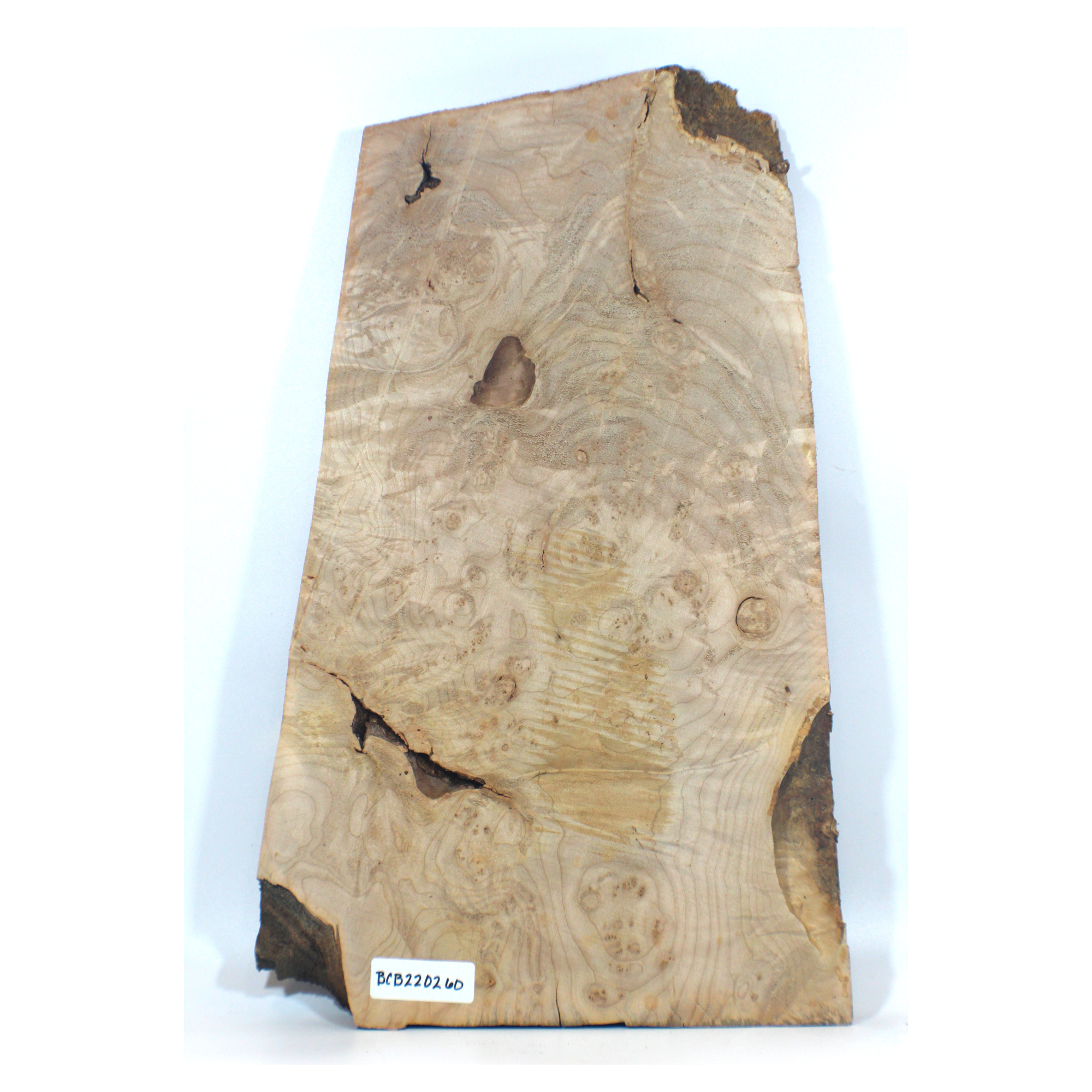 Maple burl craft board with heavy eye spots, curl, and interesting bark seam voids.  Dimensions: Thickness: 1.25