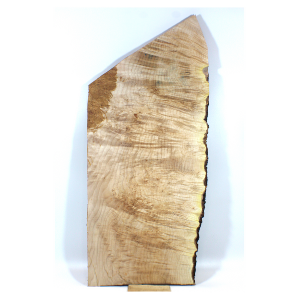 Large maple burl craft board with heavy burl lace (eye spots) and live edge.  Dimensions: Thickness: .75", Max width: 15.5", Length: 35.5".