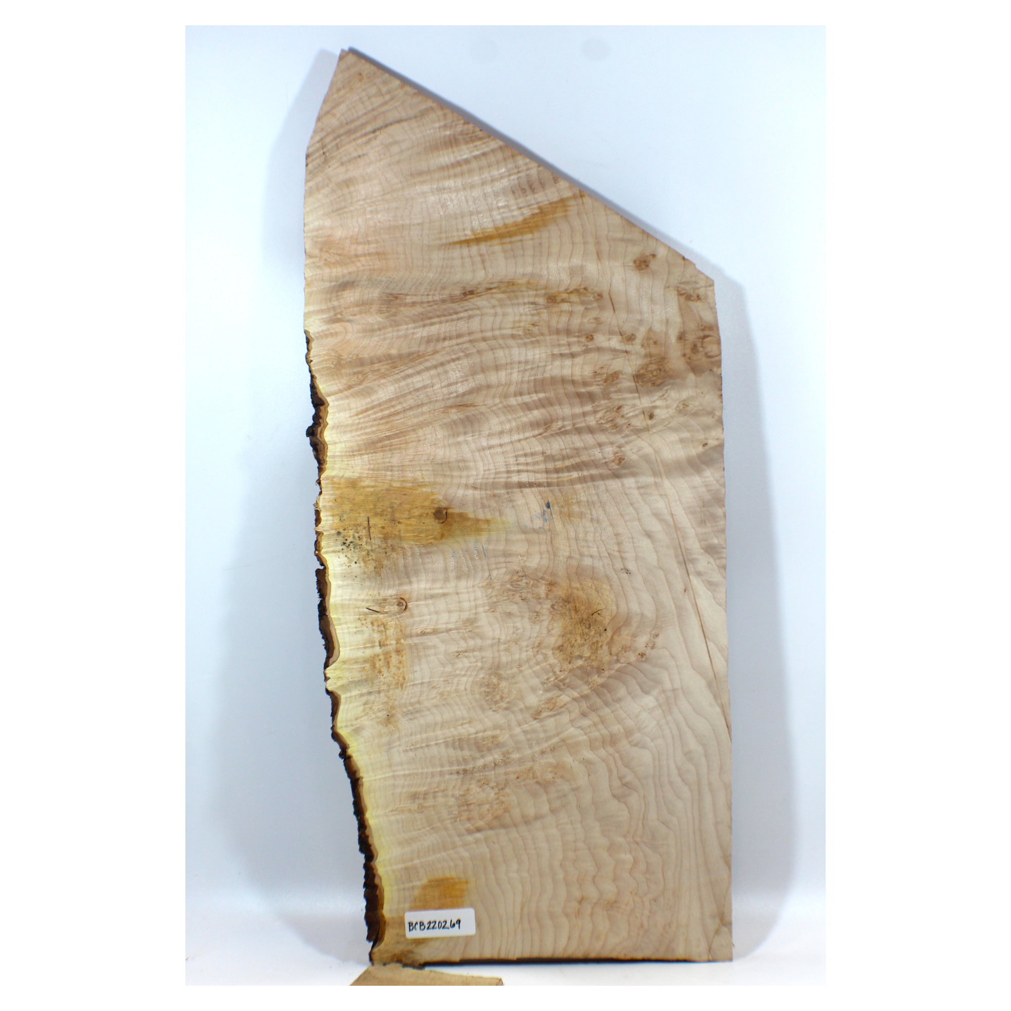 Large maple burl craft board with heavy burl lace (eye spots) and live edge.  Dimensions: Thickness: .75