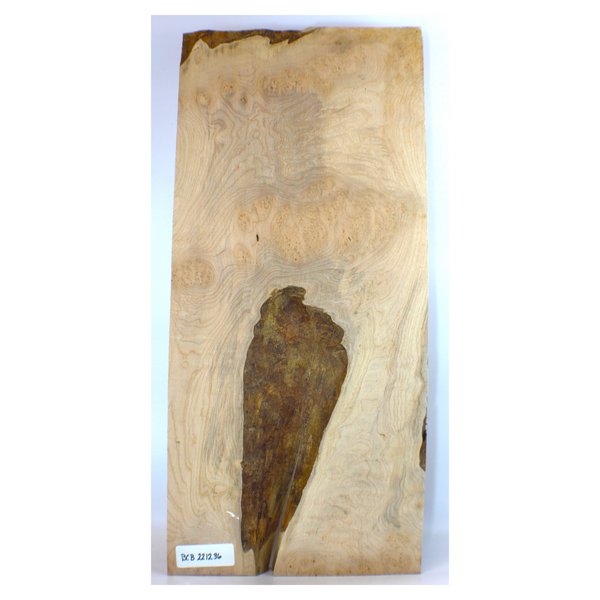 Dimensions: Thickness 1.25", Max width 11.5", Max length 25".  Maple burl craft board with large center burl and smaller burls throughout, quilting figure and large, interesting void.