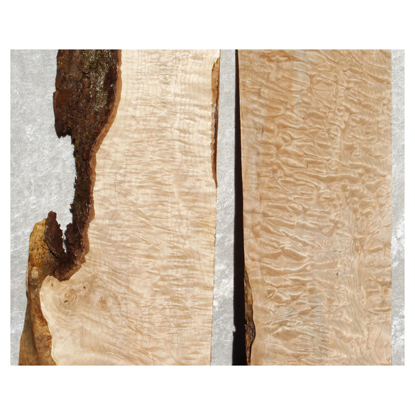 Two quilted maple billets showing varied color, figure pattern and live edges.