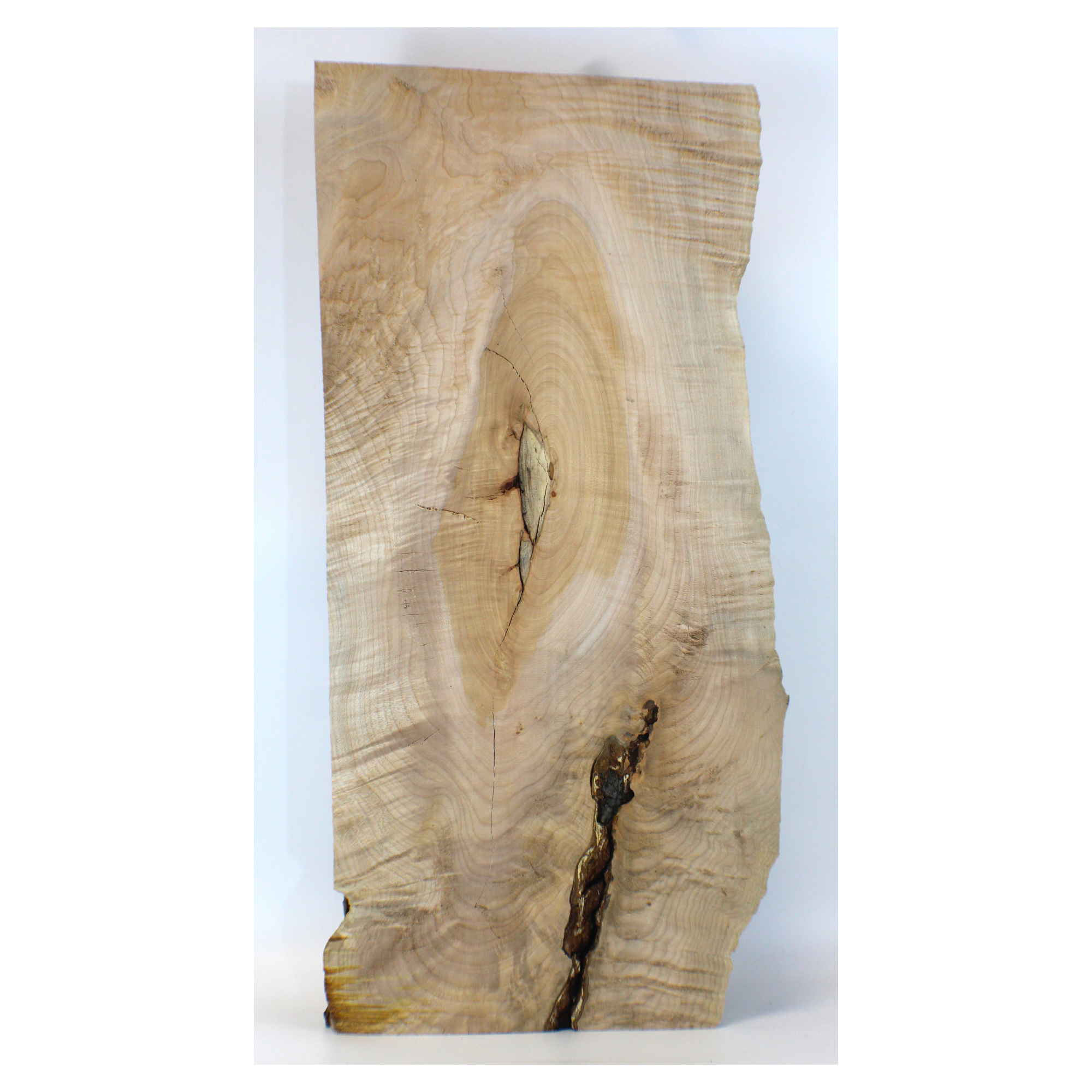Quilted Maple Full Billet (HQT220829)